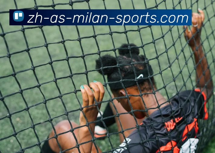 米兰体育官网登录APP 封面图